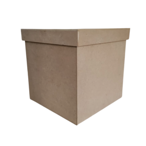 Caja Cubo 25x25